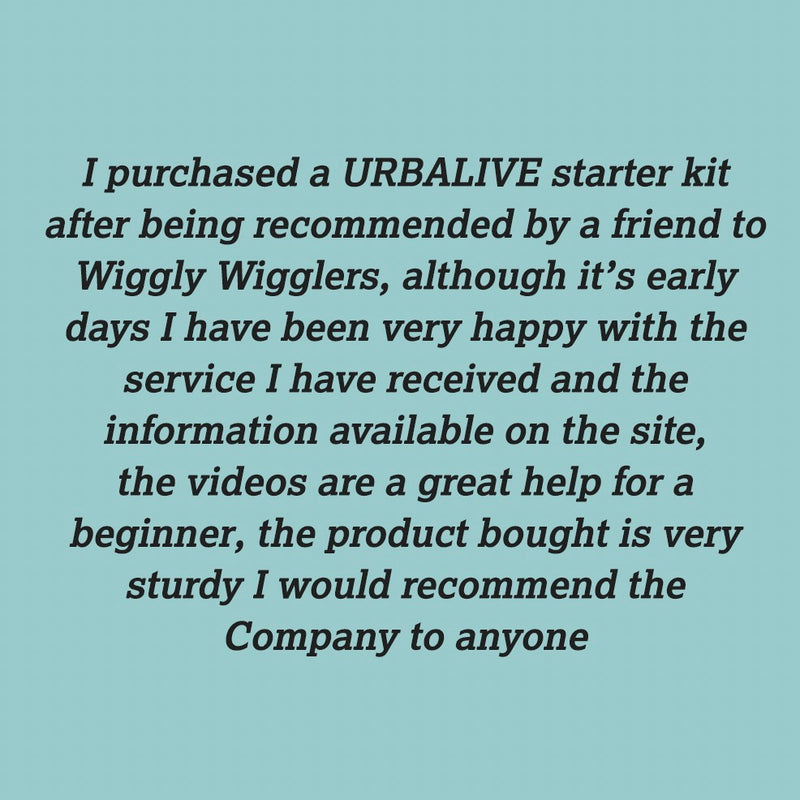 Some MORE Lovely Comment about our Wiggly Service :)