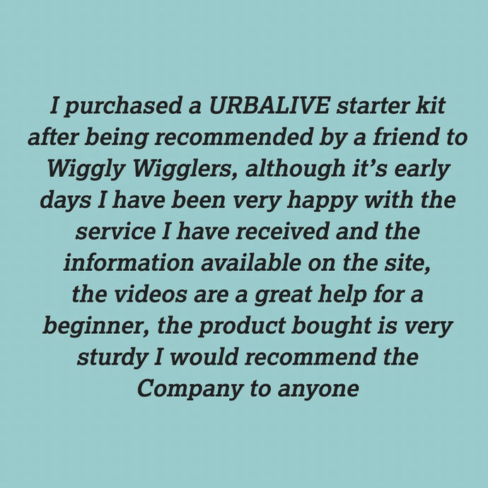 Some MORE Lovely Comment about our Wiggly Service :)