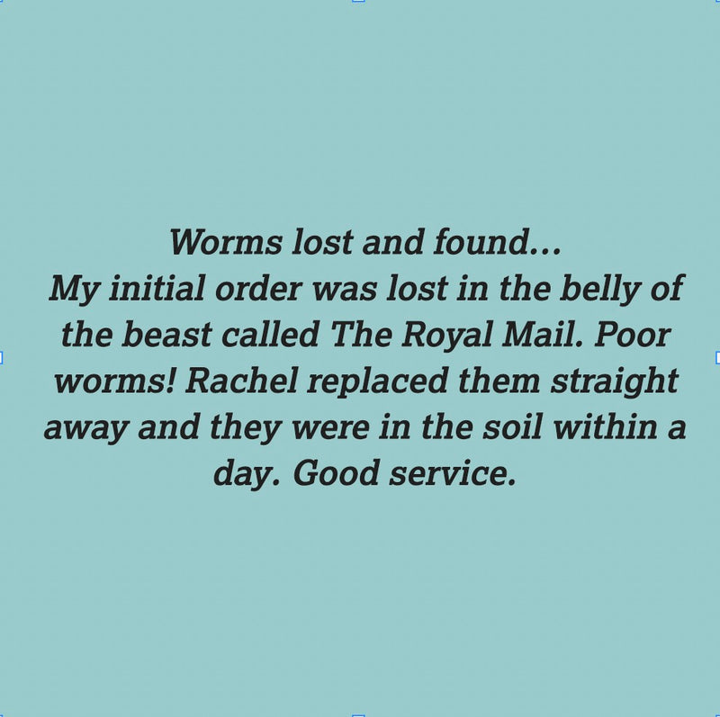 We love reading your kind comments about our Wiggly Service :)