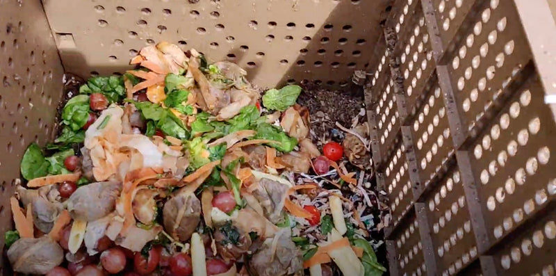 Tips on keeping your wormery running happily - what to add and when!