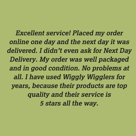 Here are our next bunch of Wiggly Great Reviews :)
