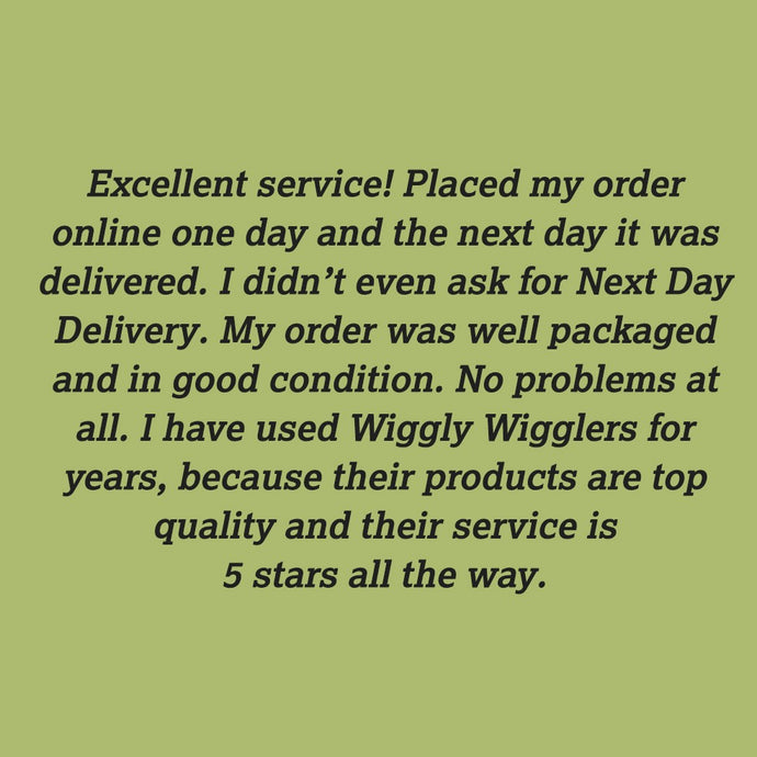 Here are our next bunch of Wiggly Great Reviews :)