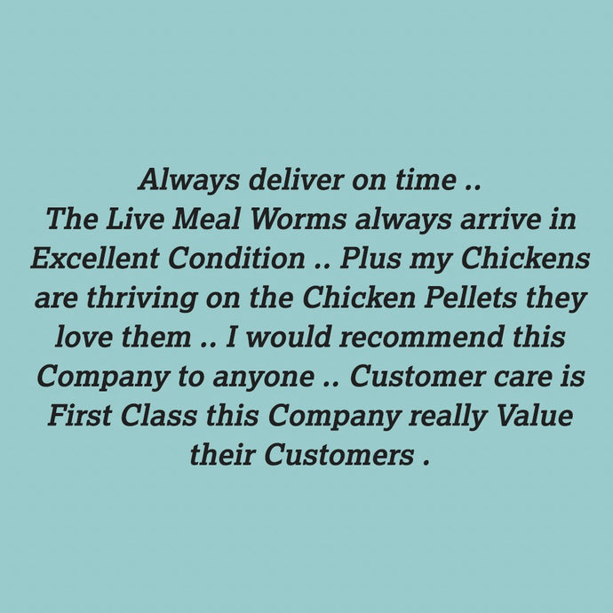 Here's what YOU think about our service and wiggly goodies!
