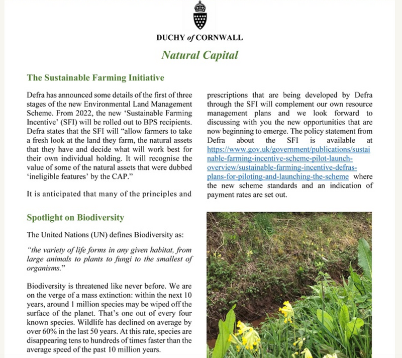 Prince Charles and Natural Capital