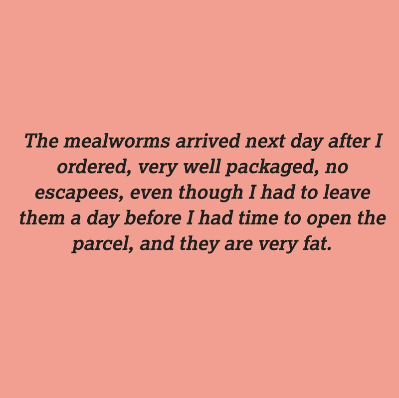 Have you heard the word? Here's some more kind reviews :)