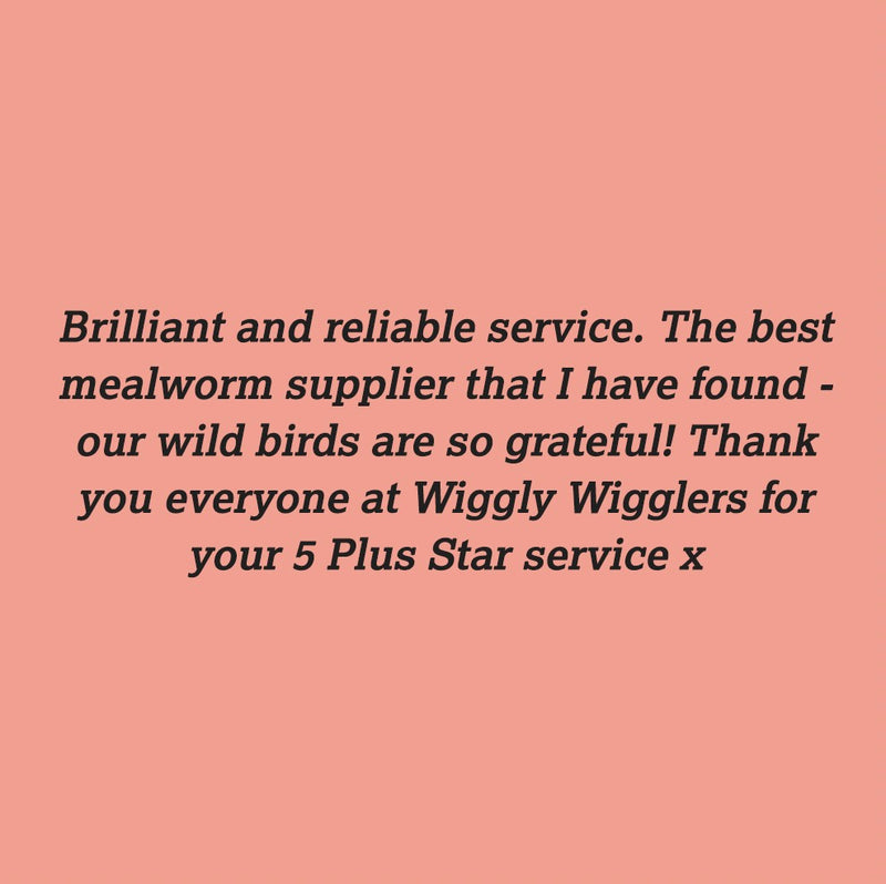 Here are another bunch of lovely customer reviews :)
