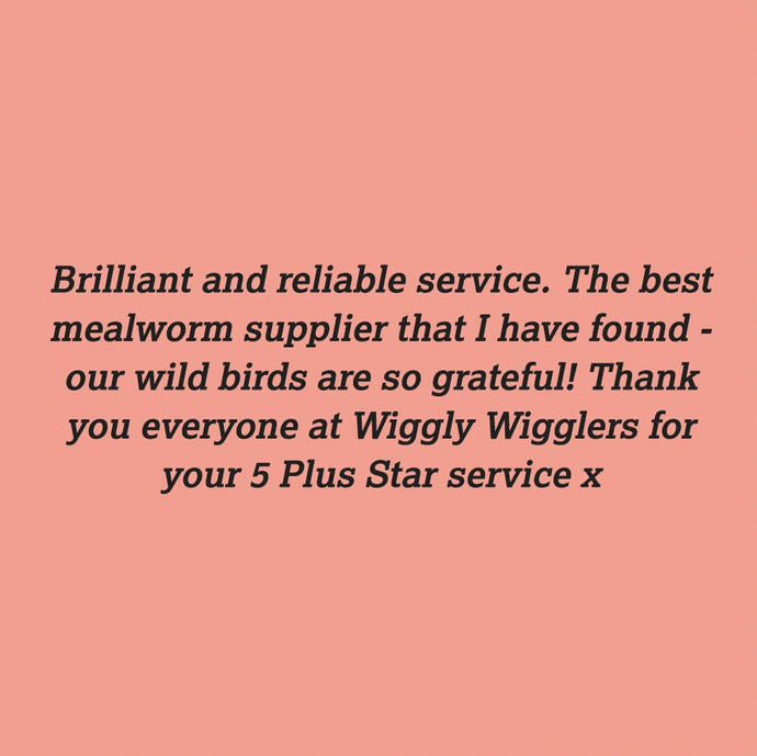 Here are another bunch of lovely customer reviews :)