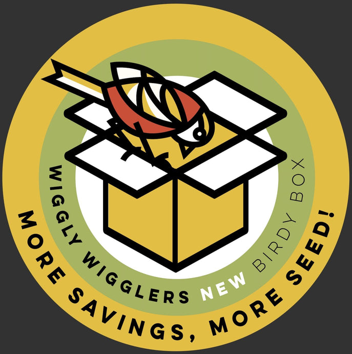 What's in the NEW Wiggly Birdy Box for June 2023?