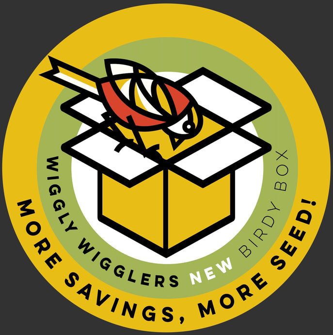 What's in the NEW Wiggly Birdy Box for October 2022?