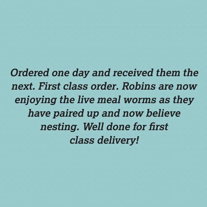 Cracking Customer Feedback :)