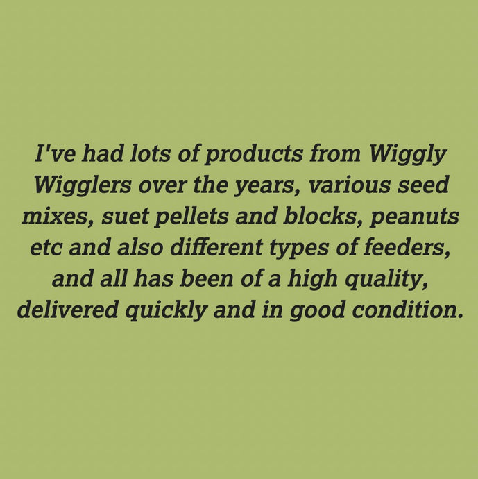 Some more Amazing Customer Reviews :)