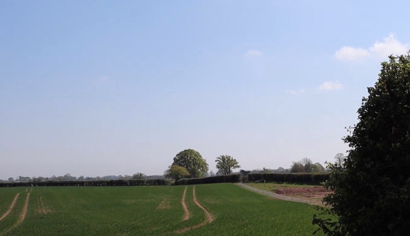 Regen Farming & Hedging Update