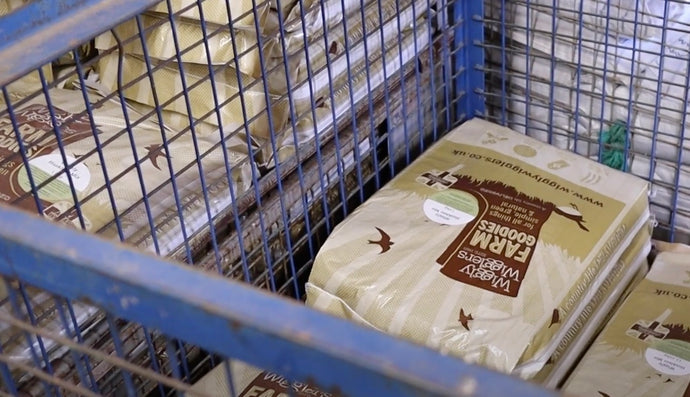 How to Know Which Seed to Buy?