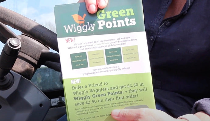 Introducing Wiggly Green Points!