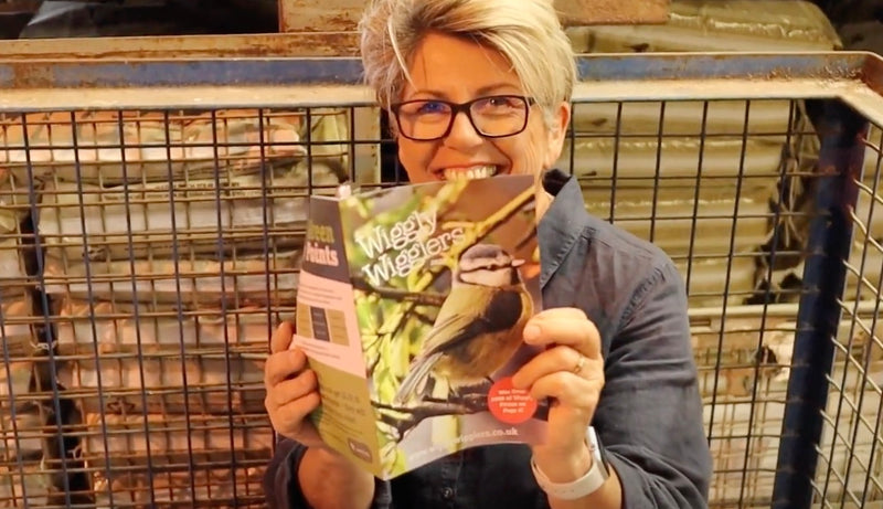 We LOVE our New Wiggly Catalogue