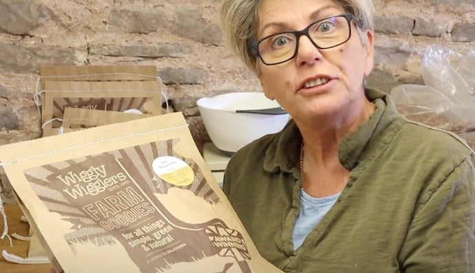 Live Mealworms in the Post!?!?