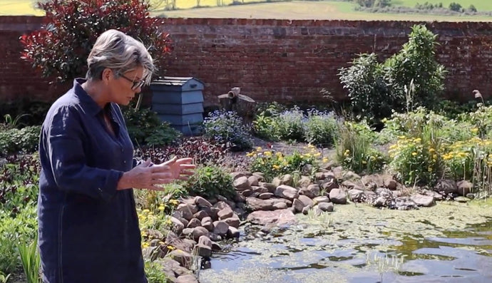 The Orchard & Wildlife Pond