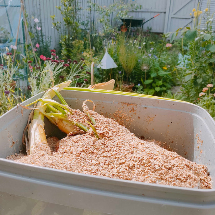 Do you know that you can turn kitchen scraps into nutritious compost soil in your urban home?