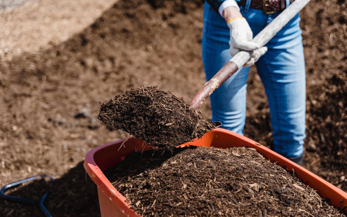 We Love Composting!