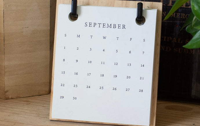 Feeding Your Garden Birds in September