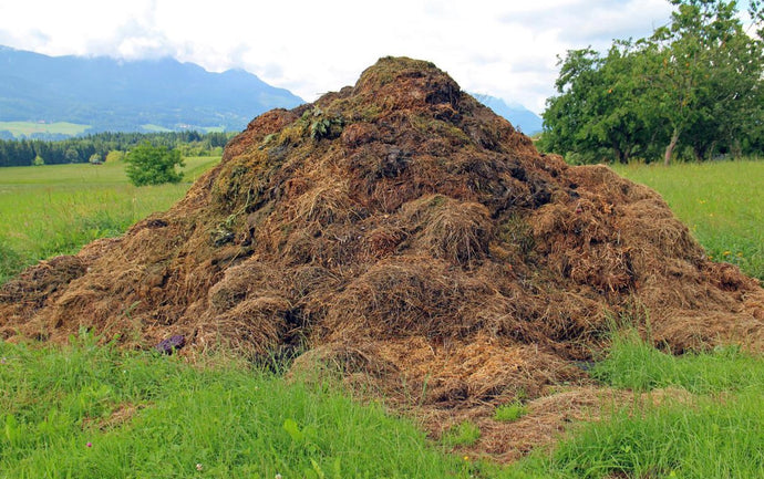 Why is a compost heap so good for my wildlife garden?