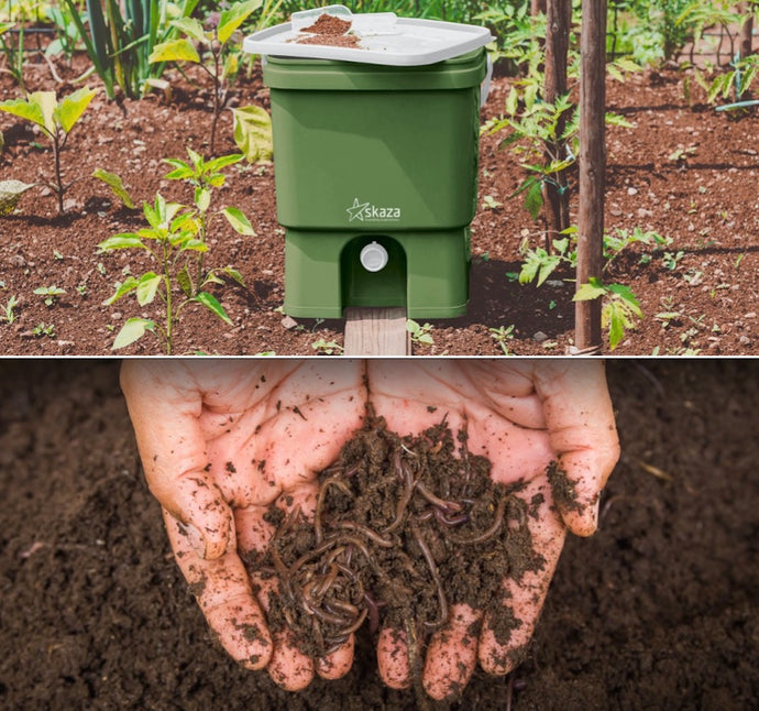 Difference between Bokashi composting and vermicomposting