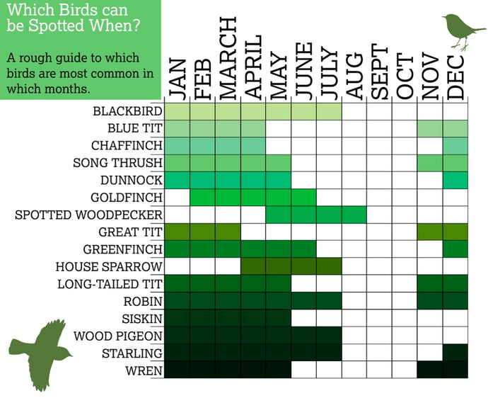Which birds can be spotted When?