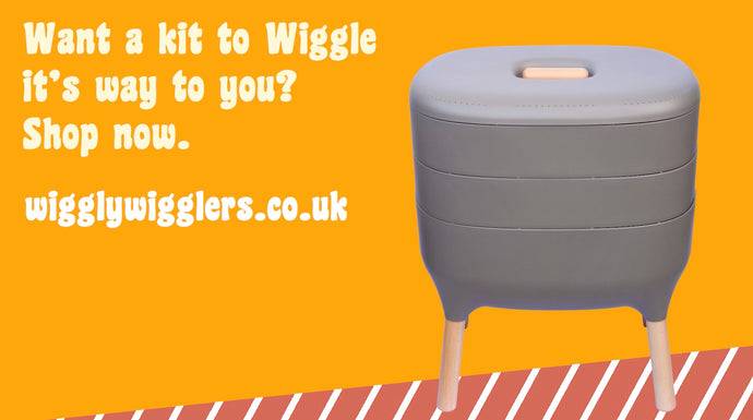 Five reasons to start worm composting with Wiggly Wigglers today