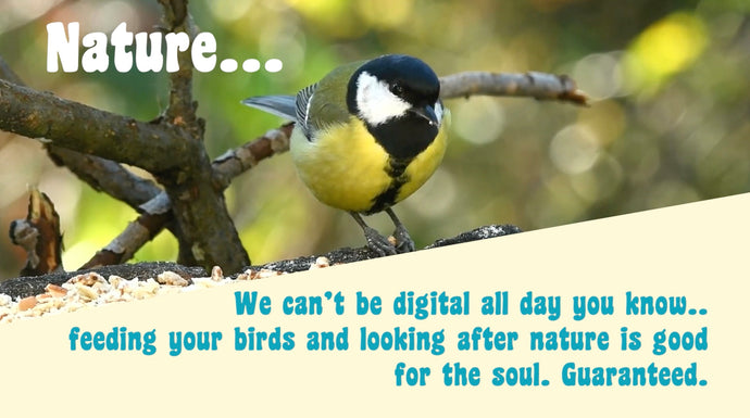 Why use Wiggly Birdfood to feed your garden birds?