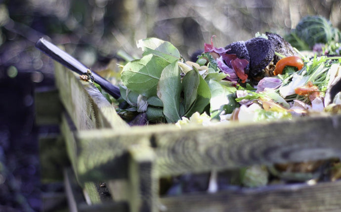 Composting at Christmas