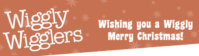 Our Top 10 Wiggly Christmas Gift Ideas!
