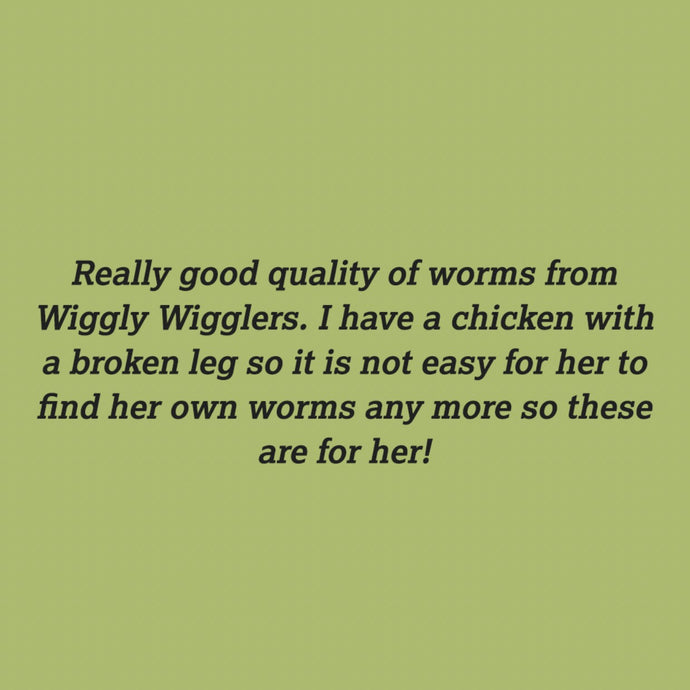 We REALLY appreciate all of your kind reviews!