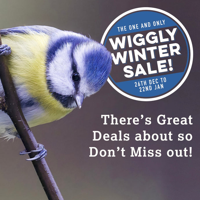 Don't Forget our Wiggly Winter Sale is ON NOW!