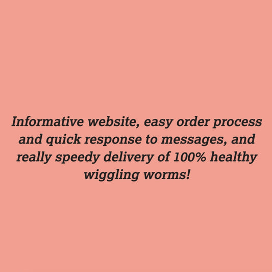 Some amazing 5* Reviews!