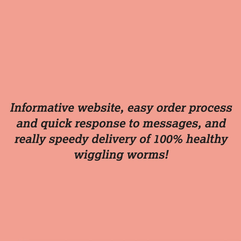 Some amazing 5* Reviews!