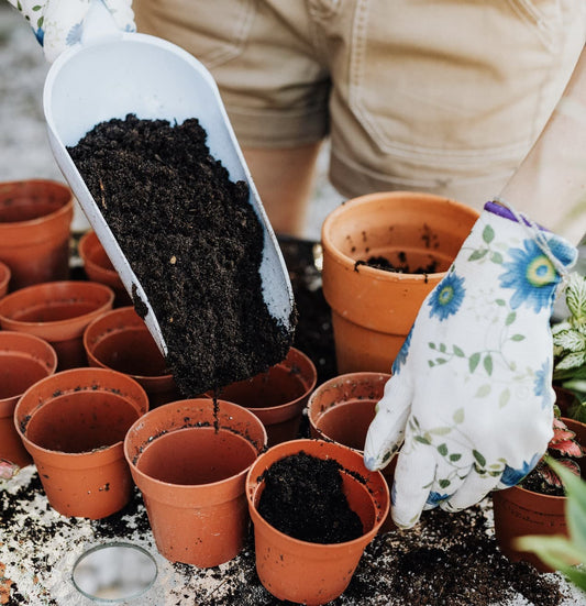 Make amazing compost with our wonder worms!