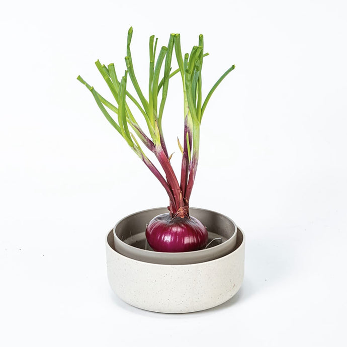 Using a Regrow Kit