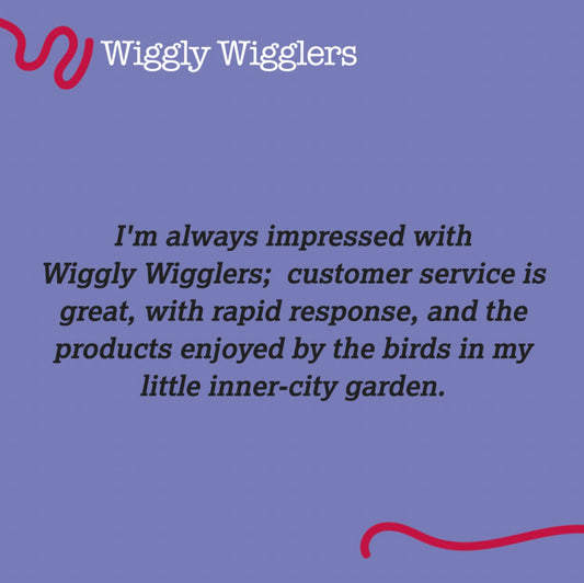 5* Reviews from our Wiggly Customers :)
