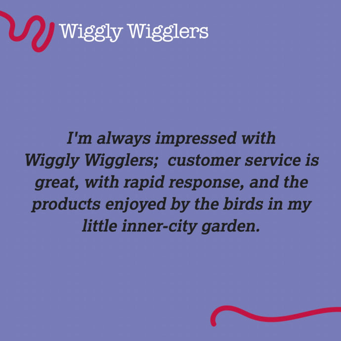 5* Reviews from our Wiggly Customers :)