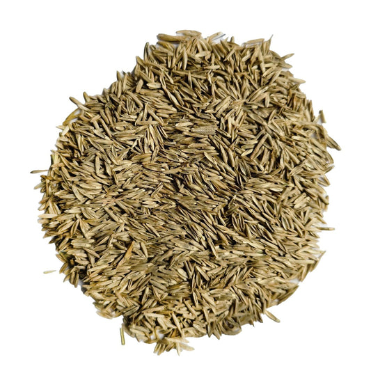 4 Reasons to LOVE our Grass Seed