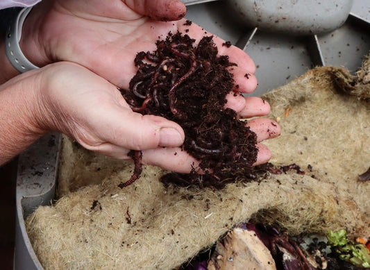 30 years of composting experience!