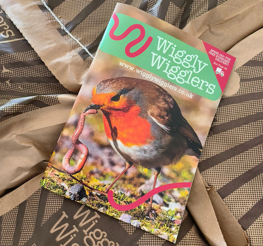 Looking to go green and reduce your environmental impact?