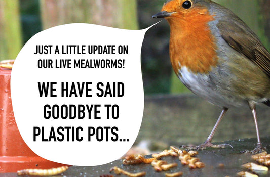 We've made a change with our live mealworms...