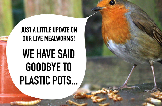 We've made a change with our live mealworms...