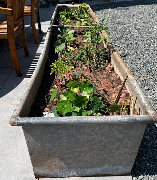 Grow Your Own Made Easy: From Water Tanks to Garden Goodies, A Guide for Non-Gardeners to Raised Bed Gardening Joy :)