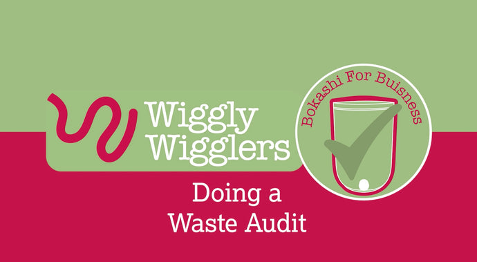 Your Business Waste Audit