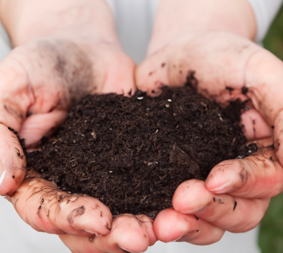 The ABC’s of Composting – Wiggly Wigglers