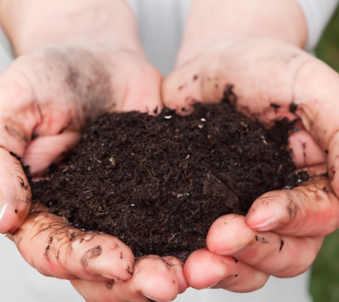 The ABC’s of Composting