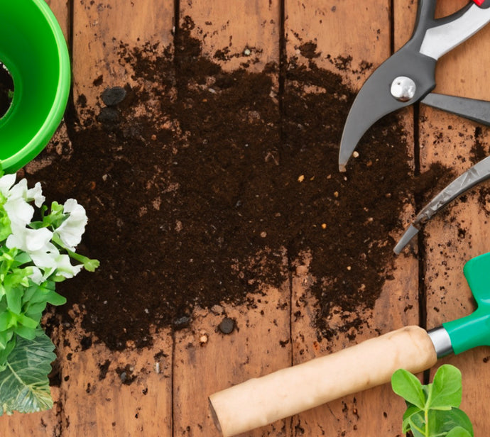 9 Eco Gardening Tips!