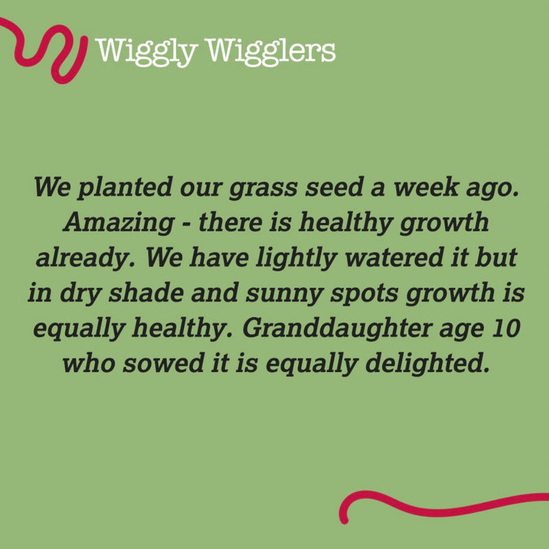 Did you know we've had over 500 5 STAR? Reviews?